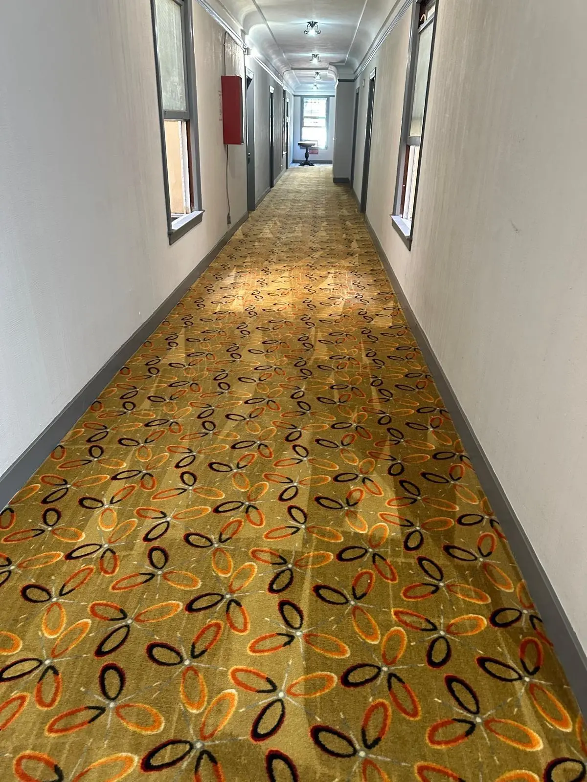 Professional commercial carpet cleaning technician steam cleaning carpet in an apartment building hallway common area.