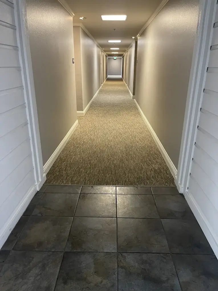 Clean commercial hallway carpet in an apartment, condo, or hotel corridor with refreshed fibers after professional commercial carpet cleaning.