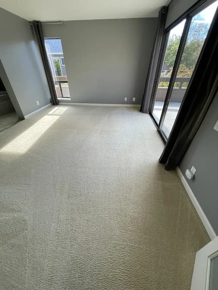 Spotless master bedroom carpet after deep cleaning, illuminated by natural light from the patio door, representing residential carpet cleaning results.