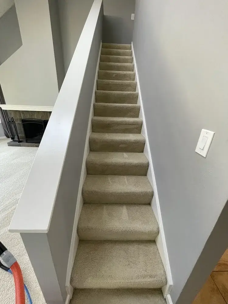 Freshly steam-cleaned residential stairs and living room carpet with visible cleaning lines, showing professional home carpet cleaning results.