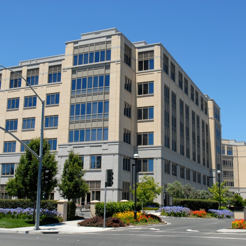 Professional carpet cleaning service in East Palo Alto - steam cleaning in progress