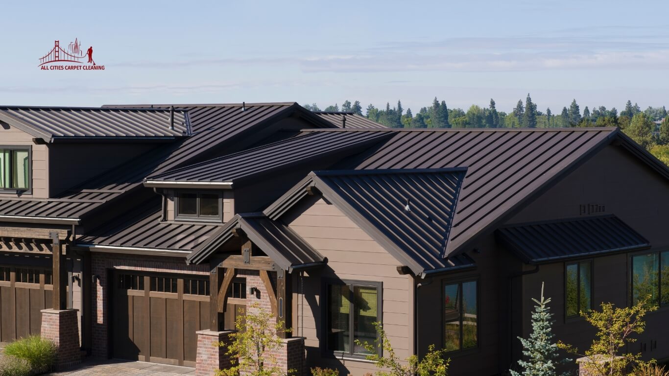 Experienced residential carpet cleaning service - professional steam cleaning in action