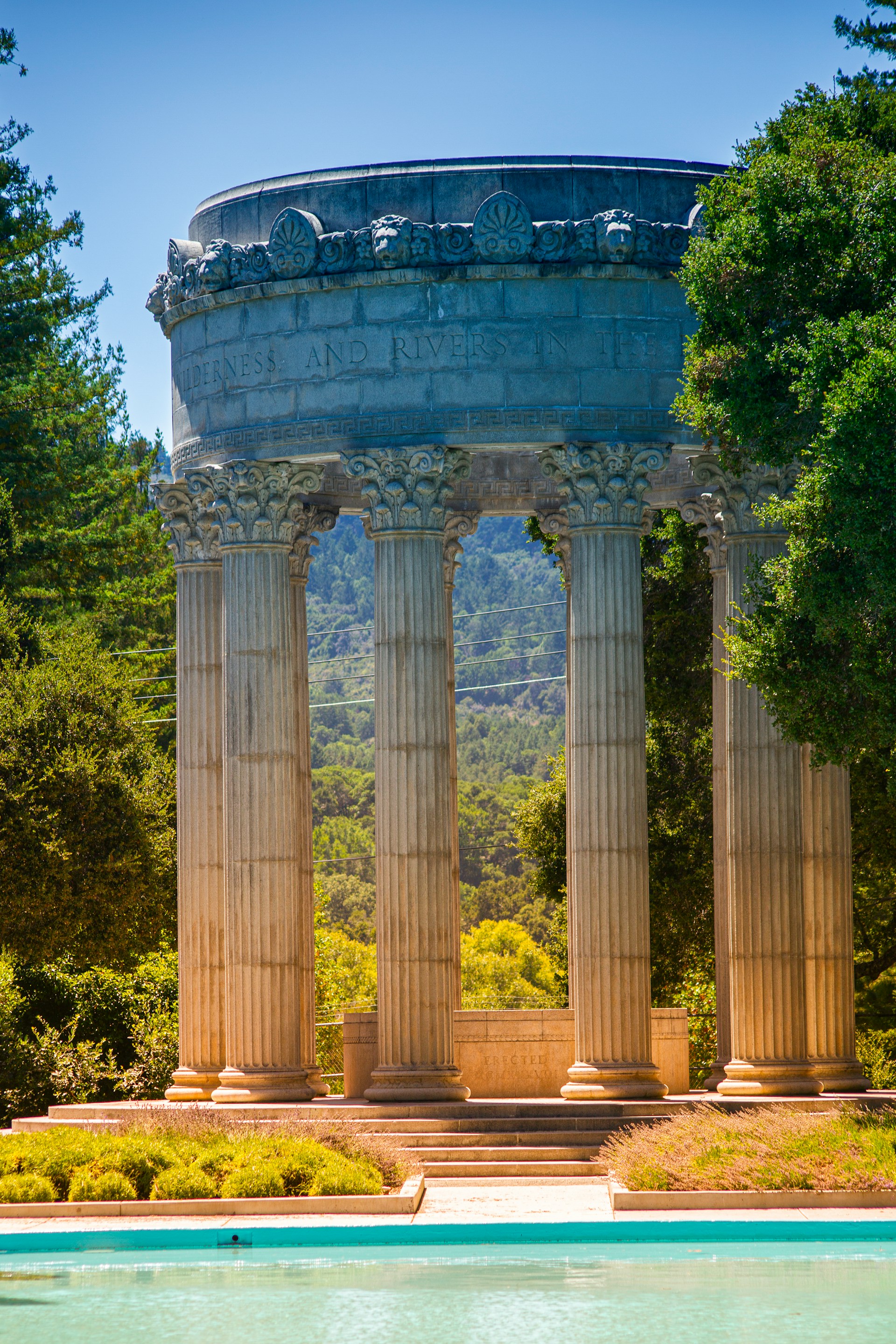 Experienced residential carpet cleaning service - professional steam cleaning in action