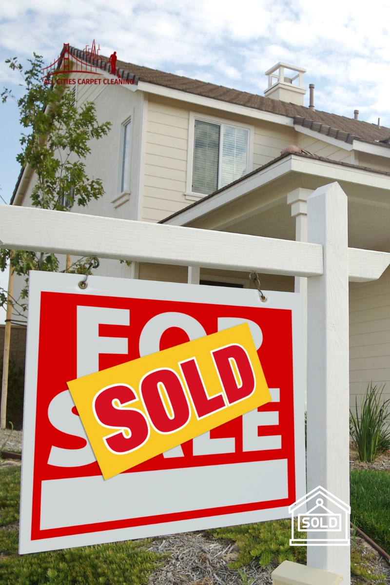 Premium Carpet Preparation for Property Showings & Sales