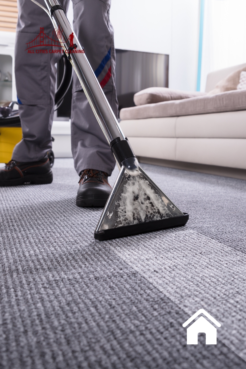 Expert Home Carpet & Upholstery Cleaning Solutions