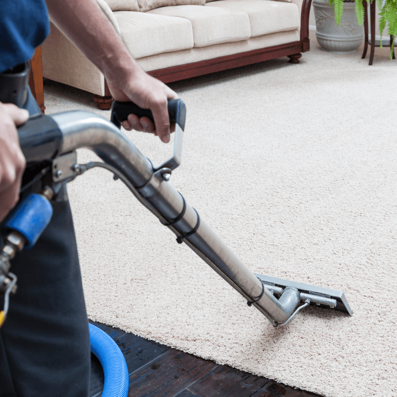 Professional residential carpet cleaning service in San Mateo - steam cleaning in progress