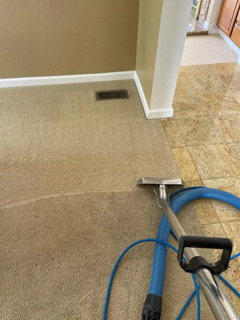 Dirty, stained living room carpet before professional cleaning and Clean, fresh living room carpet after steam cleaning