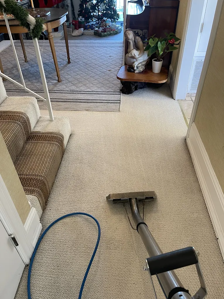 Dirty, stained hallway common area carpet before professional cleaning and Clean, fresh common area carpet after steam cleaning