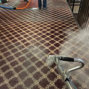 Worn, dirty stair carpet before cleaning and Refreshed stair carpet after professional cleaning